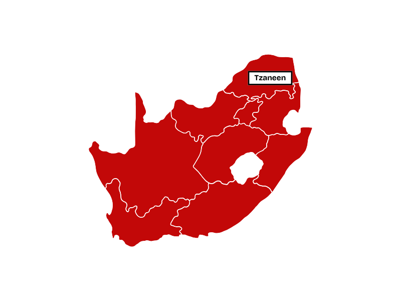 International Graduates (Website) (1)